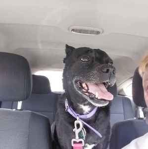 Meet your Posher, Angela